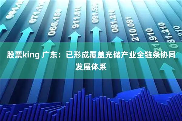 股票king 广东：已形成覆盖光储产业全链条协同发展体系