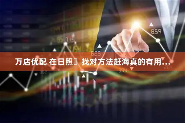 万店优配 在日照️找对方法赶海真的有用…