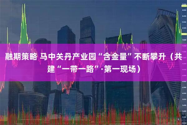 融期策略 马中关丹产业园“含金量”不断攀升（共建“一带一路”·第一现场）